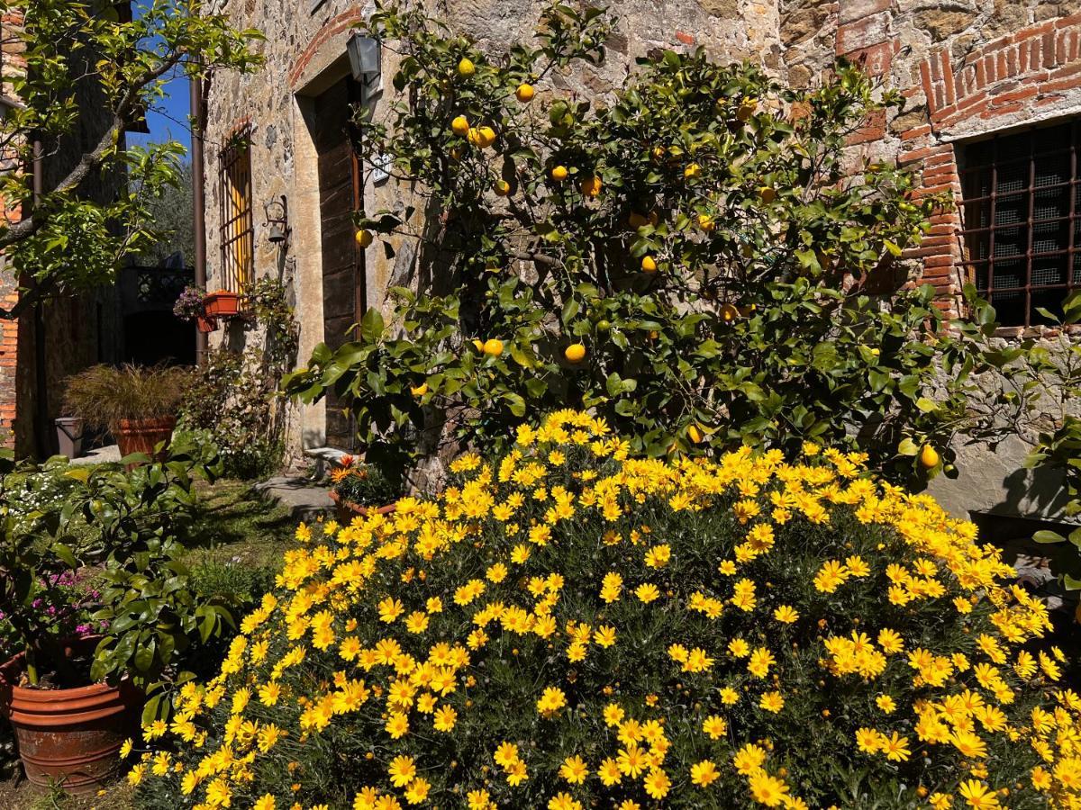Villa La Casina Dei Frati Lucca Exterior foto